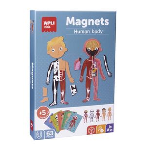 MAGNETS EL CUERPO HUMANO