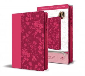 SANTA BIBLIA REINA VALERA LETRA GRANDE