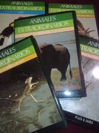 ANIMALES EXTRAORDINARIOS ELEFANTES