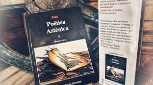 FOTO POÉTICA ASTÉNICA I POEMARIO VISUAL