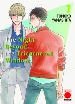 THE NIGHT BEYOND THE TRICORNERED WINDOW 7