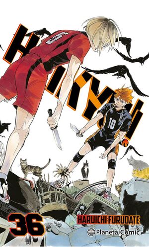 HAIKYU 36
