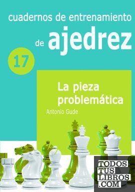 LA PIEZA PROBLEMÁTICA