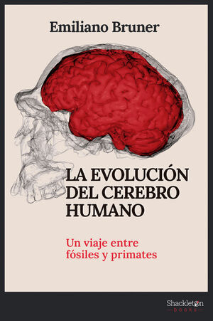 LA EVOLUCIÓN DEL CEREBRO HUMANO