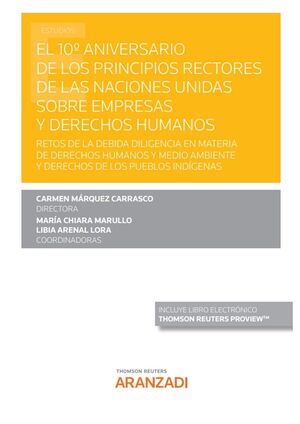 10º ANIVERSARIO DE LOS PRINCIPIOS RECTORES DE LAS NACIONES UNIDAS SOBRE EMPRESAS