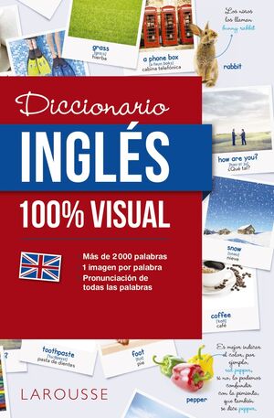 DICCIONARIO INGLES 100% VISUAL