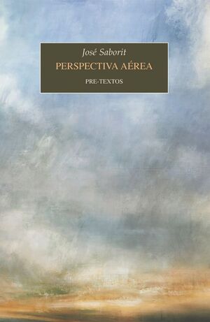 PERSPECTIVA AEREA