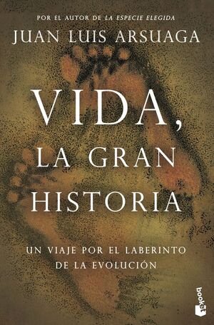 VIDA LA GRAN HISTORIA