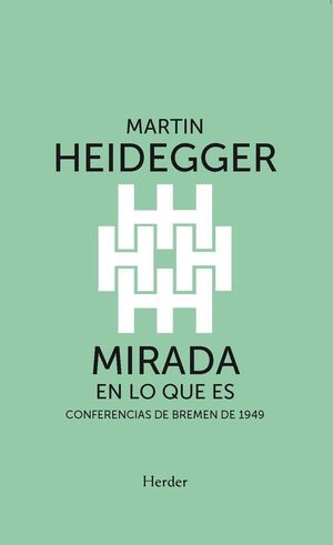 MIRADA EN LO QUE ES
