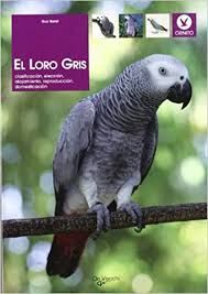 EL LORO GRIS