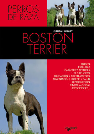 BOSTON TERRIER