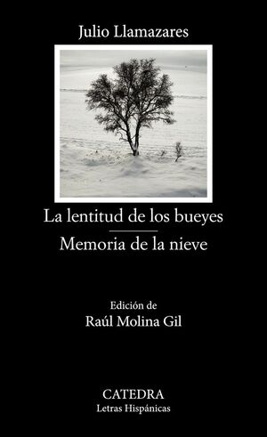 LENTITUD DE LOS BUEYES / LA MEMORIA DE LA NIEVE