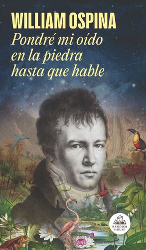 PONDRE MI OIDO EN LA PIEDRA HASTA QUE HABLE