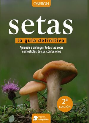SETAS LA GUÍA DEFINITIVA