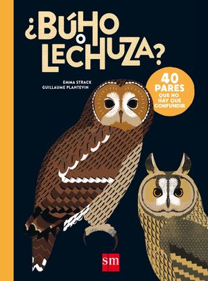 BÚHO O LECHUZA