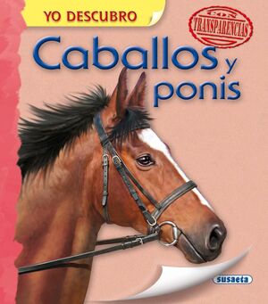 CABALLOS Y PONIS