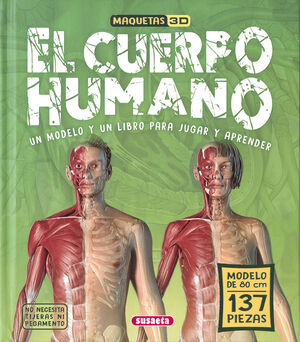 EL CUERPO HUMANO MAQUETAS 3D