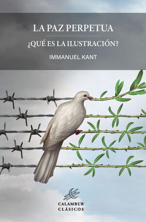 LA PAZ PERPETUA QUÉ ES LA ILUSTRACIÓN
