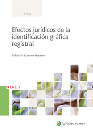 EFECTOS JURÍDICOS DE LA IDENTIFICACIÓN GRÁFICA REGISTRAL