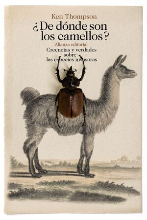 DE DÓNDE SON LOS CAMELLOS