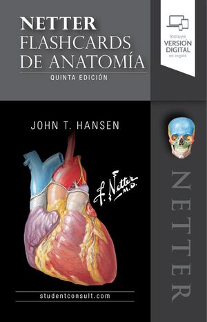 NETTER. FLASHCARDS DE ANATOMÍA