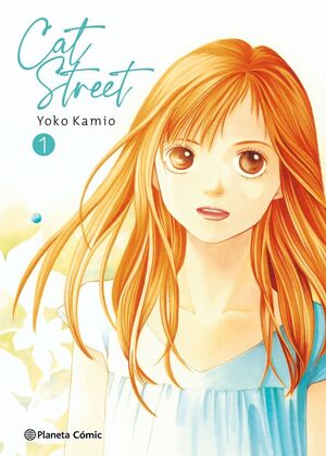 CAT STREET 1