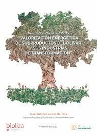 VALORIZACIÓN ENERGÉTICA DE SUBPRODUCTOS DEL OLIVAR Y SUS INDUSTRIAS DE TRANSFORMACION