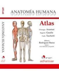 ATLAS ANATOMÍA HUMANA