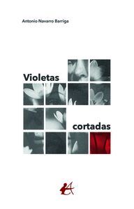 VIOLETAS CORTADAS