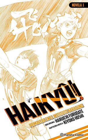 HAIKYÛ NOVELA 1